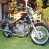 20134-01-yamaha-xv-1100-virago-dsc02012.jpg