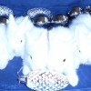 24178-01-mladata-snehobilych-modrookych-zakrslych-teddy-prodejnaaxata.jpg