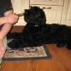 24783-01-knirac-velky-cerny-img_2182.jpg