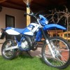 25728-01-yamaha-dt-125-r3-p1010349.jpg