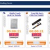 28590-01-online-zeekler_auction2.jpg