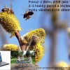 28798-01-nebrecte-ze-nemate-penize-neco-pro-to-udelejte-prace-z-domu-pro-maminky-1-.jpg