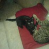 23459-02-cerne-kote-dsc04766.jpg