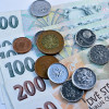 58263-01-finance-a-ekonomika-60792420-close-up-czech-koruna-currency-czech-republic.jpg