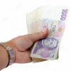 59096-01-nebankovni-pujcky-pngtree-a-hand-holding-czech-banknotes-with-nominal-value-of-1000-crowns-photo-image_2855105.jpg